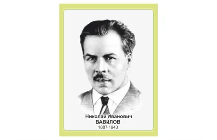 Стенд портрет Вавилов Н.И.