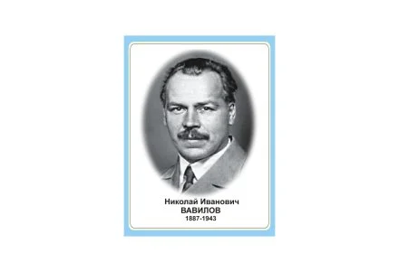 Стенд портрет Николай Иванович Вавилов