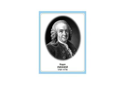 Стенд портрет Карл Линней