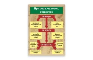 Стенд "Природа, человек, общество"