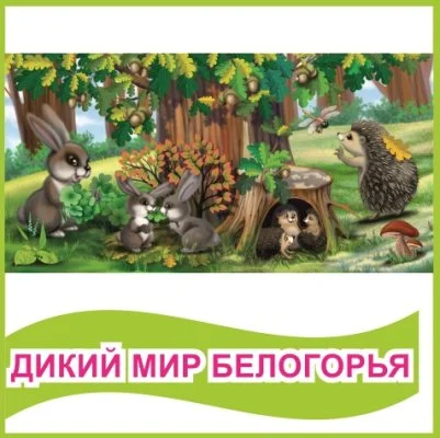 Табличка "Дикий мир Белогорья"
