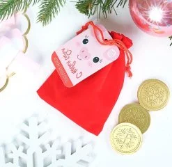Шоколадные монеты в мешочке, 10 шт. "С новым годом"