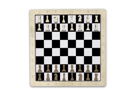 Настенная игра «2 в 1 Шашки + шахматы»