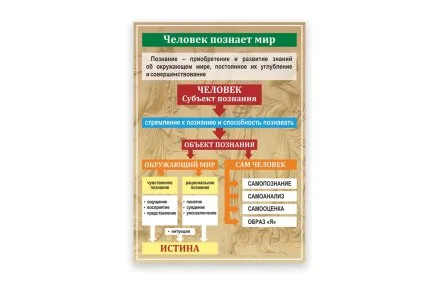 Стенд "Человек познает мир"