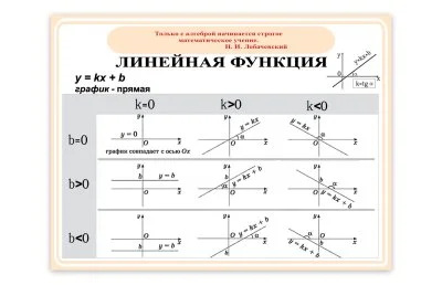Виниловый плакат "Линейная функция"