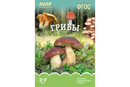 ФГОС Мир в картинках. Грибы