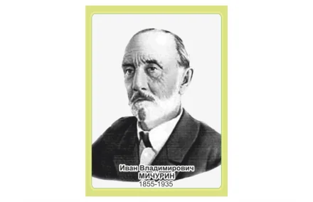 Стенд портрет Мичурин И.В.