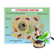 Стенды для кабинета биологии