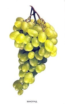 Пособие Расскажите детям о Дарах природы (набор) МС00470-72,810,464(11705) галерея 10