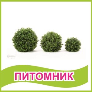 Табличка "Питомник"