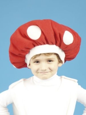 Мухомор шапочка — jpg/106120104_1.jpg