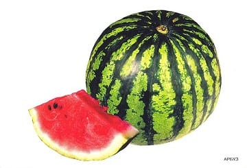 Пособие Расскажите детям о Дарах природы (набор) МС00470-72,810,464(11705) галерея 13