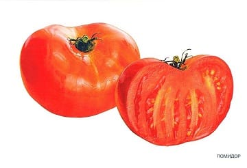 Пособие Расскажите детям о Дарах природы (набор) МС00470-72,810,464(11705) галерея 8