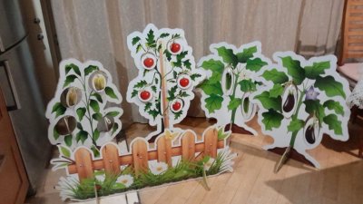 Пособие «Огород»  52108 галерея 2