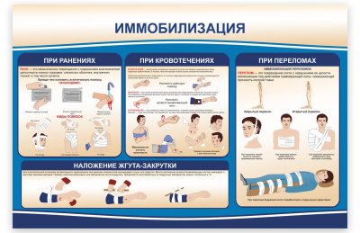 Комплект стендов "Иммобилизация" 50962 галерея 1
