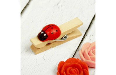 Прищепки декоративные "Божьи коровки" — jpg/700_11_.jpg