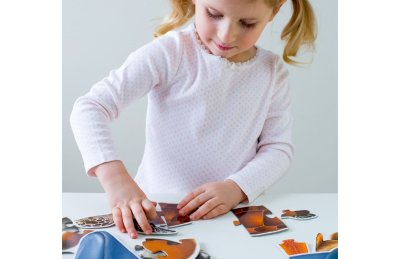 Пазлы Окружающий мир, Домашние, Дикие животные / в системе хранения Игротека 7210рос галерея 1