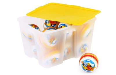 Модуль 520 Физкультура для средних и старших групп — jpg/7920ros_2.jpg