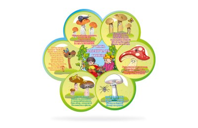 Стенд "Учись различать грибы"