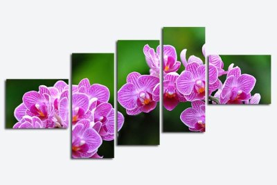 Модульная картина "Яркая орхидея" 17152 галерея 1