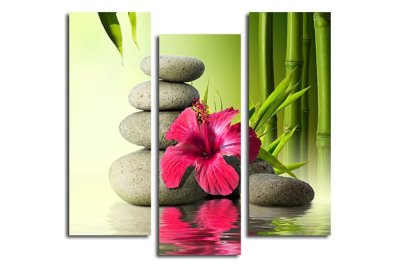 Модульная картина "Китайская роза, бамбук и камни" 17172 галерея 1