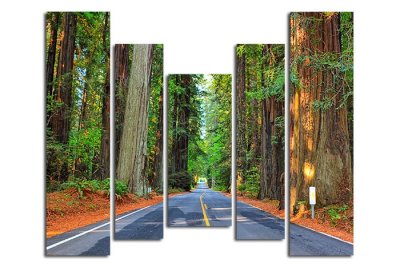 Модульная картина "Дорога сквозь лес" — jpg/17176a_P.jpg