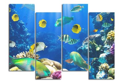 Модульная картина "Удивительный подводный мир" — jpg/17231a_P.jpg