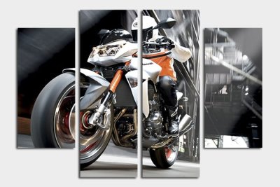 Модульная картина "Мотоциклист" 17310 галерея 1