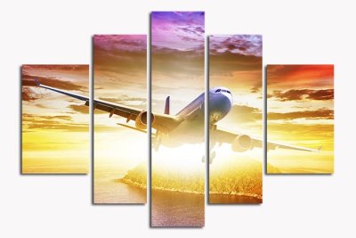Модульная картина "Летящий на закате" 17339 галерея 1