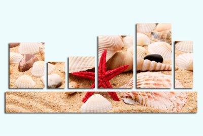 Модульная картина "Морские ракушки" — jpg/17479a_P.jpg
