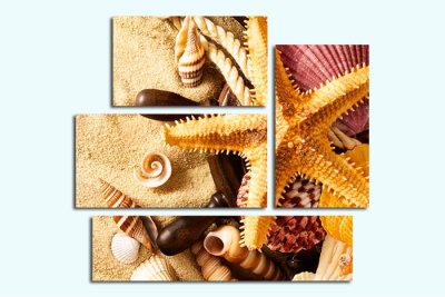Модульная картина "Ракушки" — jpg/17480a_P.jpg