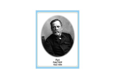 Стенд портрет Луи Пастер