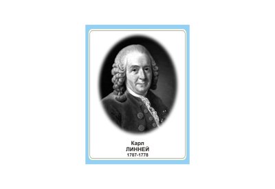 Стенд портрет Карл Линней