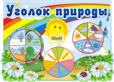 Уголок природы "Радуга"