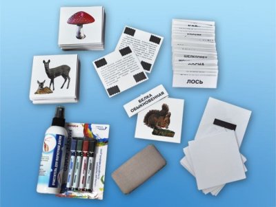 Магнитно-маркерный плакат "Леса" с комплектом магнитных карточек ДС0015 галерея 2