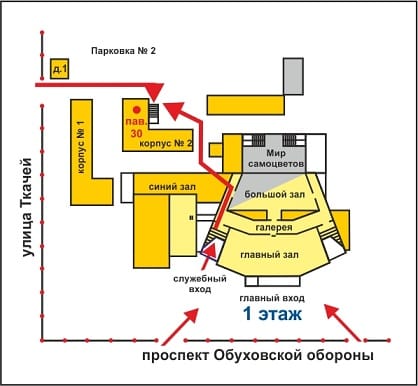Фотография