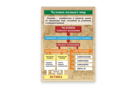 Стенд "Человек познает мир"