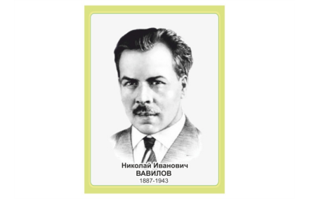 Стенд портрет Вавилов Н.И.