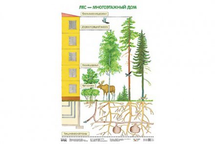 Плакат Лес — многоэтажный дом