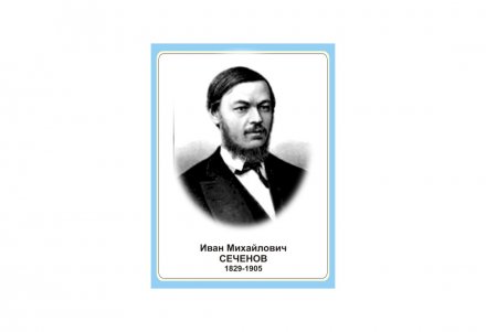 Стенд портрет Иван Михайлович Сеченов