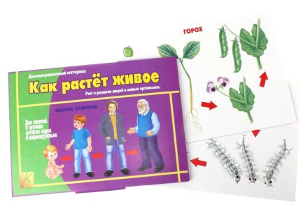 Игра настольная "Как растет живое"