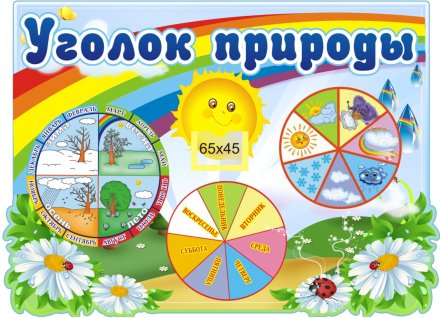 Уголок природы "Радуга"