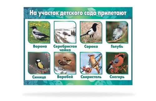 Стенд "На участок детского сада прилетают" 47180