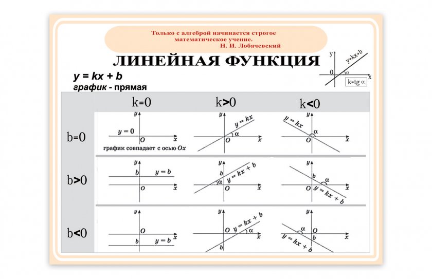 Виниловый плакат "Линейная функция"